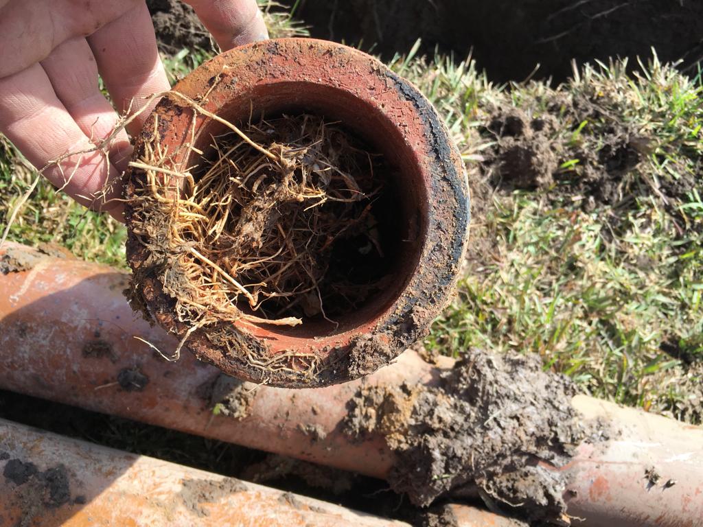 Blocked Drains Sydney